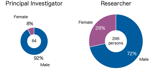 Pie charts showing gender balance among PI and researchers. 8% of PIs, and 28% of researchers are female. 