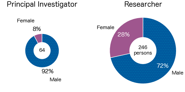 Pie charts showing gender balance among PI and researchers. 8% of PIs, and 28% of researchers are female.