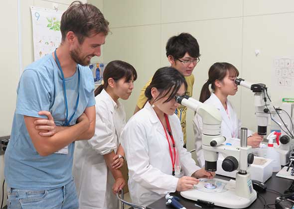 Summer School for University Students