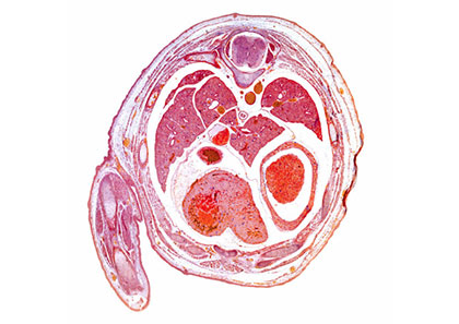 latest_research230414katoh-hamada