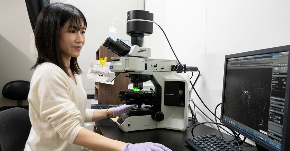 顕微鏡を操作する女性研究者