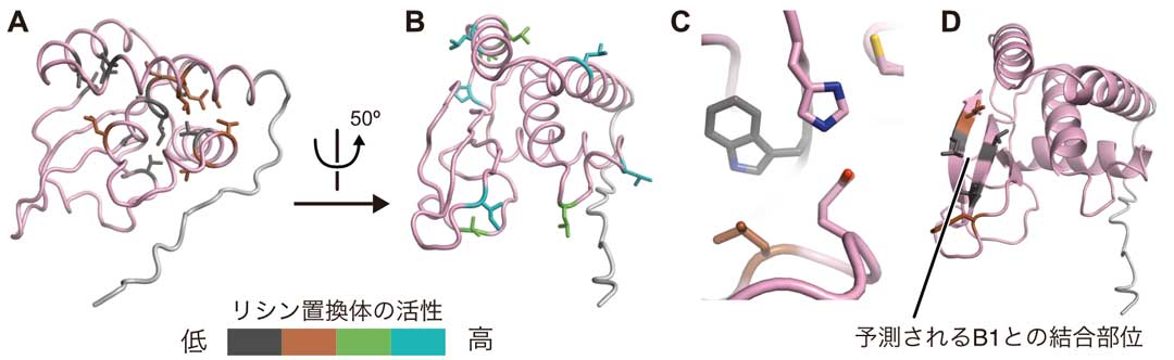 research20220614-fig3J