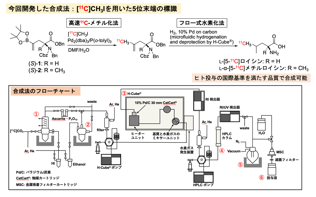 今回開発した合成法の化学反応式およびフローチャート