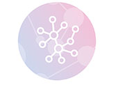 Network Icon