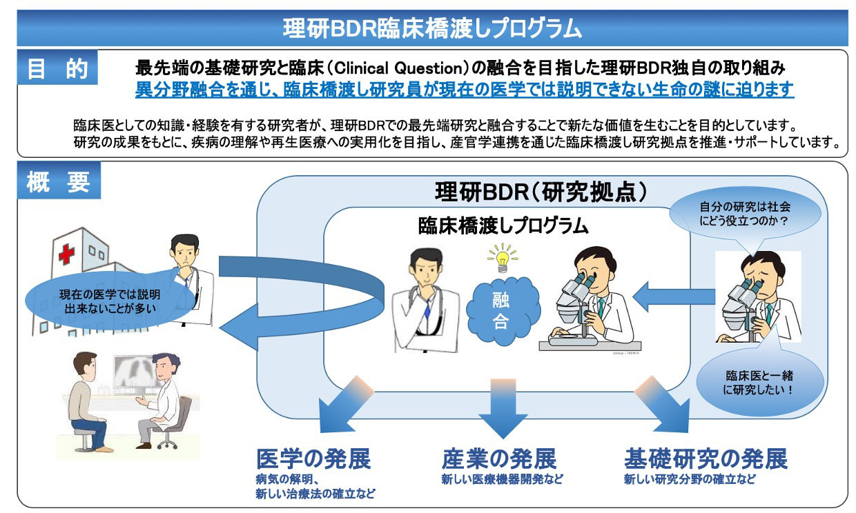 臨床橋渡しプログラム