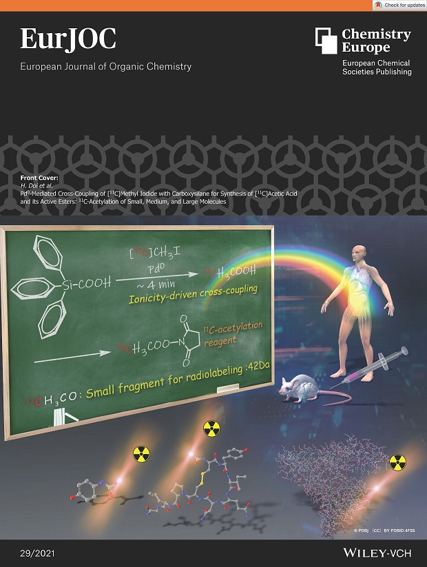 Cover of EurJOC