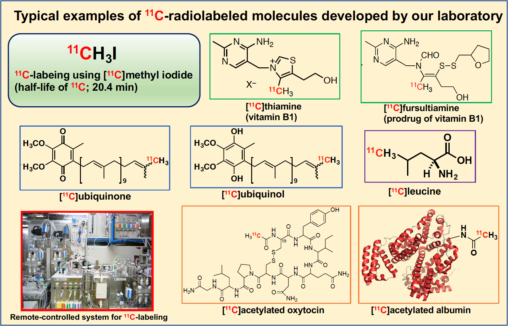 Typical examples of C-11-radiolabeled molecules developed by our laboratory