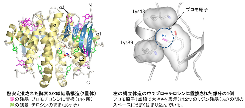 Research Figure 2